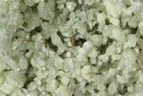 Green Prehnite Crystal Cluster - Morocco #80682-1